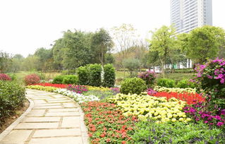 上海绿化园艺工程哪家专业而且又好