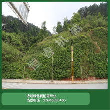 绿化植物墙价格 绿化植物墙批发 绿化植物墙厂家 Hc360慧聪网