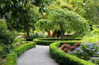绿化、北京园林绿化庭院绿化施工及养护免费设计欢迎咨询!
